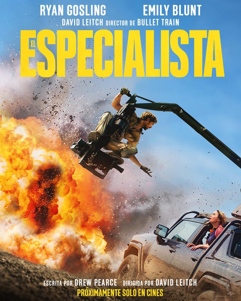 Poster El especialista